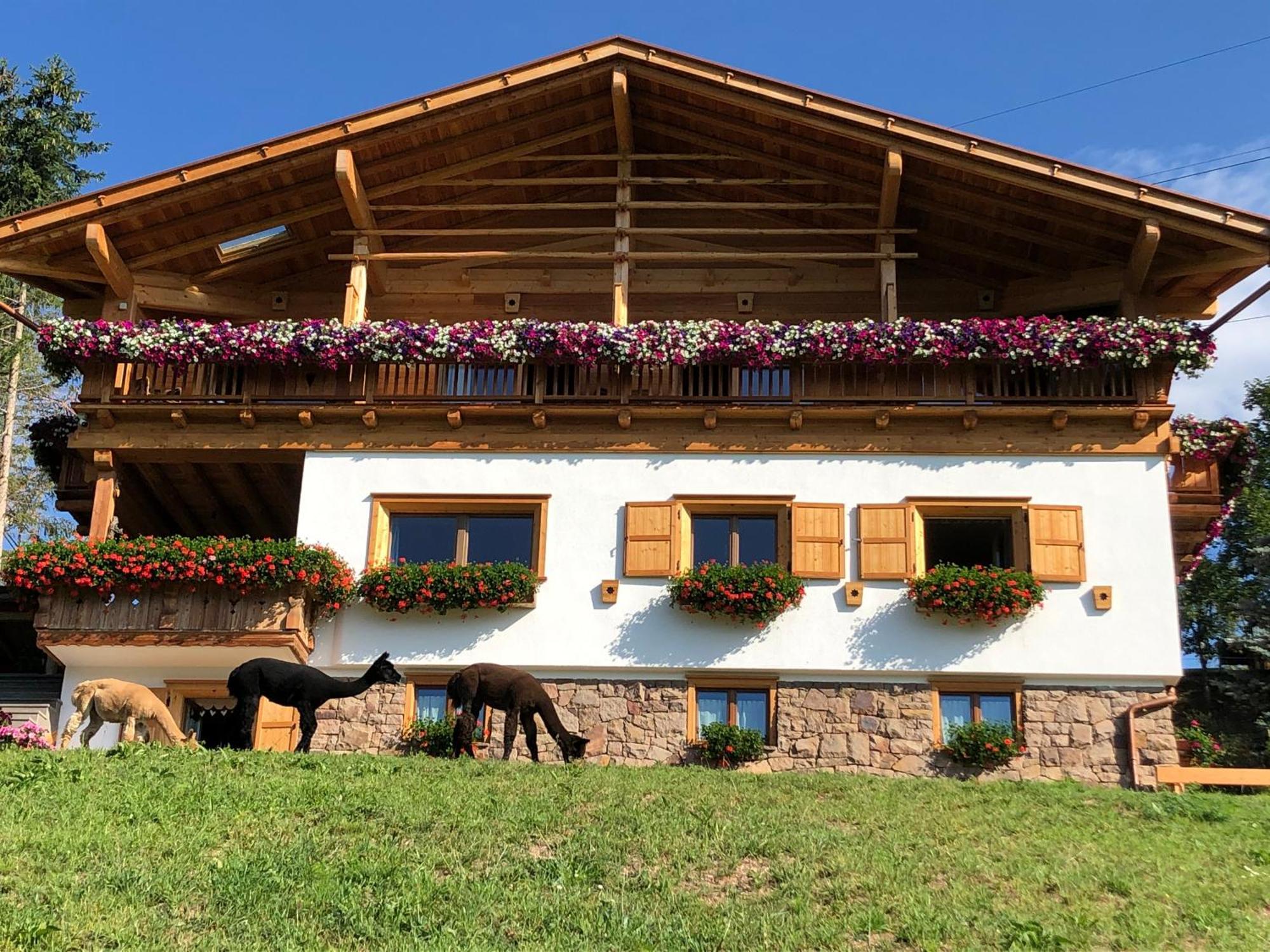 B&B Belvedere Daiano Екстер'єр фото